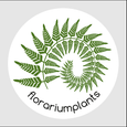 Florariumplants, Интернет магазин
