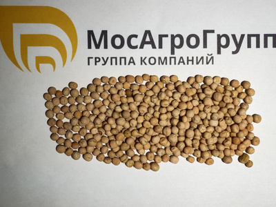 Семена гороха Фокор купить в Москве по выгодной цене