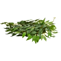 Искусственное растение Лиана 27x33 см ПВХ цвет оливковый Без бренда None